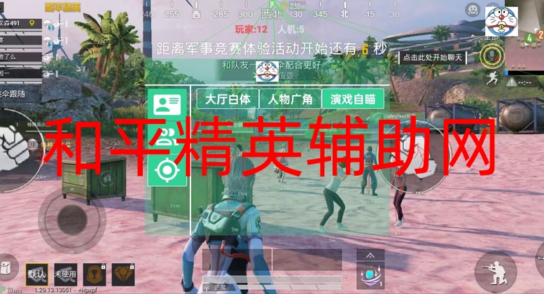 王者荣耀《九天玄鸟》外挂